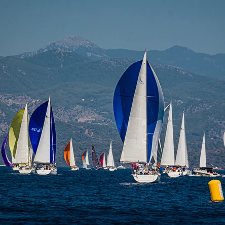 ⛵ SAIL AND FUN TROPHY